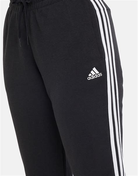 maastricht adidas threestripes pants|Adidas 3 striped jacket.